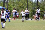 IMG_0149 (cam 0)
