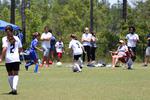 IMG_0150 (cam 0)