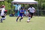 IMG_0183 (cam 0)