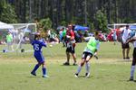 IMG_0203 (cam 0)