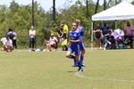 IMG_0241 (cam 0)