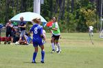 IMG_0246 (cam 0)