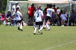 IMG_0290 (cam 0)