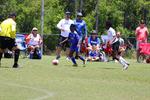 IMG_0295 (cam 0)