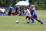IMG_0318 (cam 0)