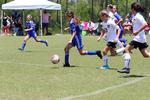 IMG_0330 (cam 0)