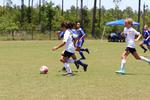 IMG_0332 (cam 0)