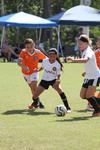 IMG_0042 (cam 0)