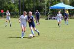 IMG_0036 (cam 0)