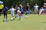 IMG_0073 (cam 0)