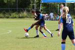 IMG_0088 (cam 0)