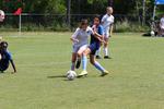 IMG_0113 (cam 0)
