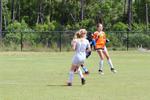 IMG_0142 (cam 0)