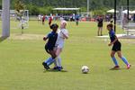 IMG_0172 (cam 0)
