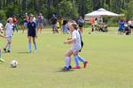 IMG_0201 (cam 0)