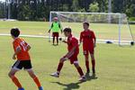 IMG_0011 (cam 0)