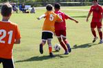 IMG_0047 (cam 0)