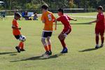 IMG_0049 (cam 0)