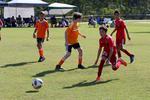IMG_0051 (cam 0)