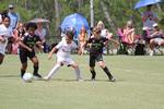 IMG_0042 (cam 0)
