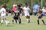 IMG_0043 (cam 0)