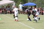 IMG_0045 (cam 0)