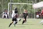 IMG_0051 (cam 0)