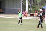 IMG_0054 (cam 0)