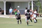 IMG_0076 (cam 0)
