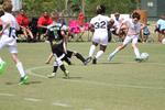 IMG_0080 (cam 0)