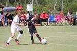 IMG_0120 (cam 0)