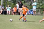 IMG_0041 (cam 0)