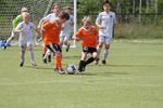 IMG_0044 (cam 0)