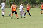 IMG_0046 (cam 0)