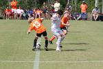 IMG_0062 (cam 0)