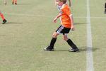 IMG_0066 (cam 0)