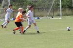 IMG_0110 (cam 0)