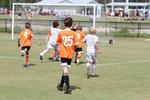 IMG_0127 (cam 0)