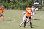 IMG_0133 (cam 0)