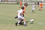 IMG_0141 (cam 0)