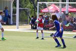 IMG_0001 (cam 0)
