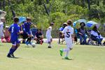IMG_0025 (cam 0)