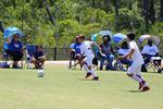 IMG_0030 (cam 0)