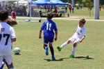 IMG_0052 (cam 0)