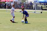 IMG_0053 (cam 0)