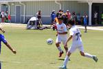 IMG_0058 (cam 0)