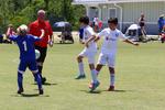 IMG_0061 (cam 0)