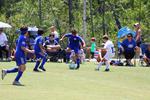 IMG_0074 (cam 0)