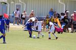 IMG_0080 (cam 0)