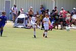 IMG_0082 (cam 0)